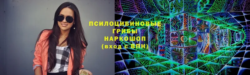 Псилоцибиновые грибы Magic Shrooms  Великий Устюг 